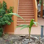 Apartament Casa Palmer